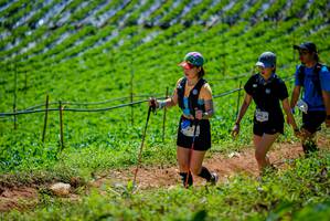 BIB: 1909
                            <button type="button" onclick="openModal(19164596)" class="btn btn-primary btn-sm float-right btn-popup" data-toggle="modal" data-target=".modal-high-quality">
                        <i class="fas fa-shopping-cart"></i> Add to Cart
                    </button>
                                            <button type="button" onclick="isThisMe(19164596, true)" class="btn btn-success btn-sm float-right btn-popup btn-isme hidden" data-toggle="tooltip" data-placement="bottom" title="นี่คือรูปของคุณใช่ไหม คลิกที่นี่เพื่อเอาเข้าอัลบั้ม">
                        <i class="fas fa-plus"></i> Add to album
                    </button>
                    <button type="button" onclick="isThisMe(19164596, false)" class="btn btn-warning btn-sm float-right btn-popup btn-isnotme hidden">
                        <i class="fas fa-ban"></i> Remove from album
                    </button>